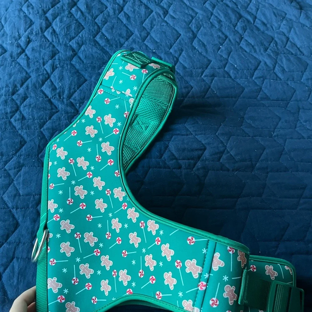 Green XL for dogs